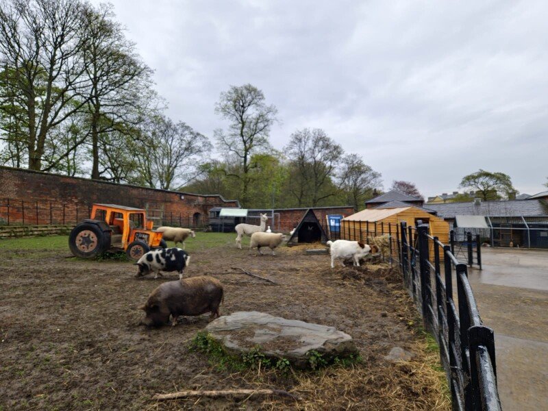 🌳 히턴 공원 (Heaton Park)
